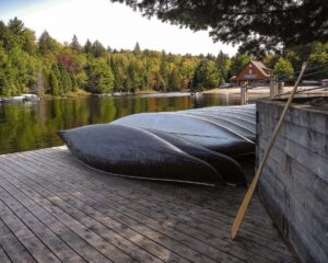 Algonquin park, Ontario